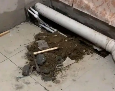 白玉卫生间漏水检测哪家好