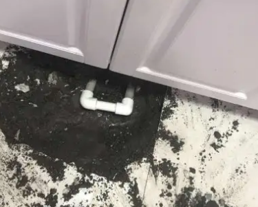 白玉查漏水哪家好