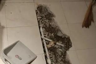 白玉卫生间漏水检测电话